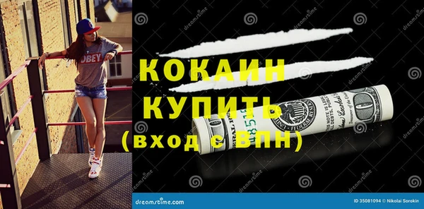 стафф Богданович