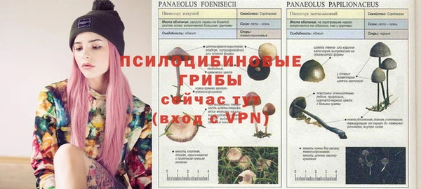 винт Богородицк