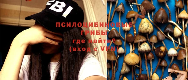 стафф Богданович