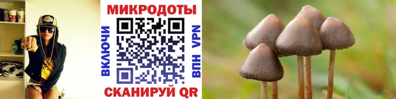 сколько стоит  Пенза  Псилоцибиновые грибы Psilocybine cubensis 